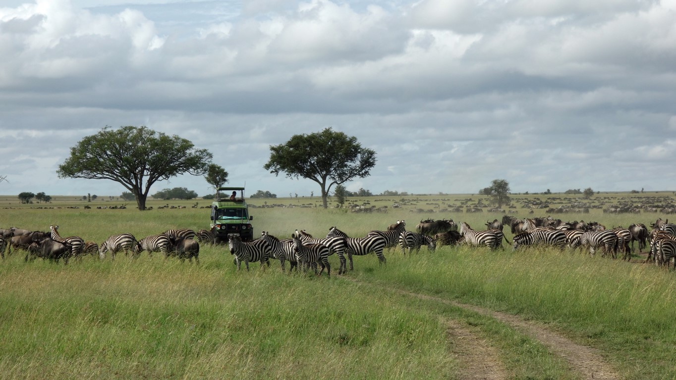 Abenteuer Tansania Gruppenreisen