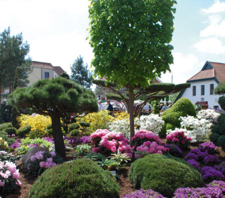 rhodo
