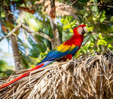 shannon-kunkle-642369-unsplash