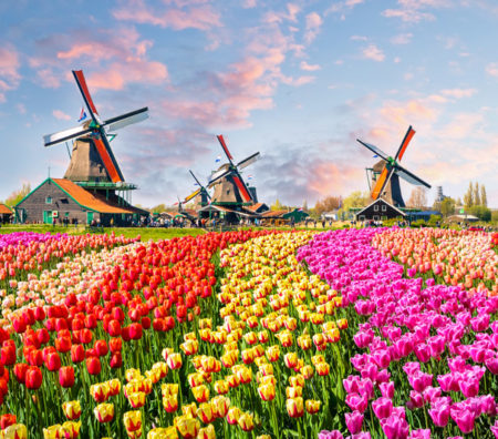 Keukenhof