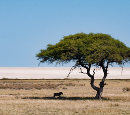 Namibia