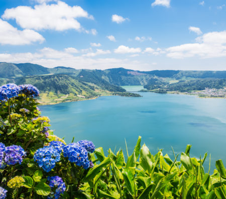 Lake of Sete Cidades with hortensia’s, Azores, Portugal Europe